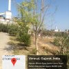 GREEN CAMPUS-5